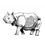 Thumbnail: ATUL, the Indian Rhinoceros