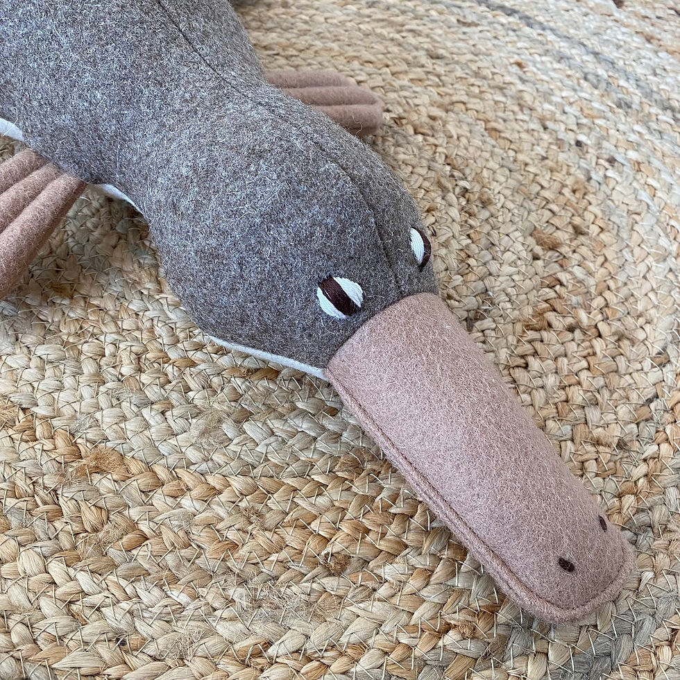 Thumbnail: Toby, the baby Platypus