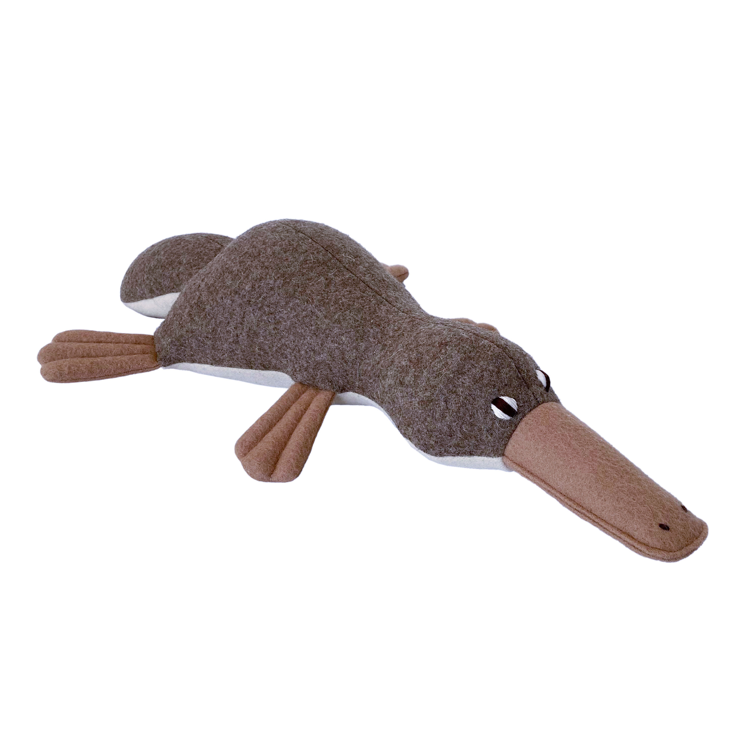 Toby, the baby Platypus