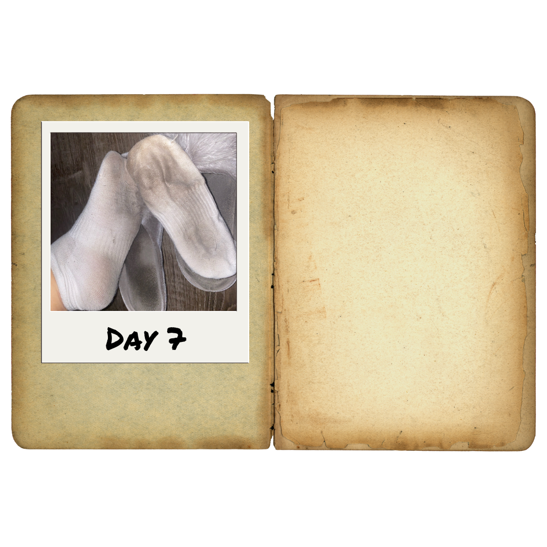 Nurfusse.com presents for foot fetish enthusiasts the seventh and final day of Miss Murdah wearing socks and making them smelly, filthy and worn in. She has her left foot in one sock, and the other sock just laid on top of her slipper. Both socks are dirty.