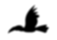 Saola-Foundation_LOGO-final options_A -