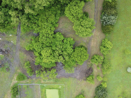 How Much Does Land Clearing Cost in Kansas?