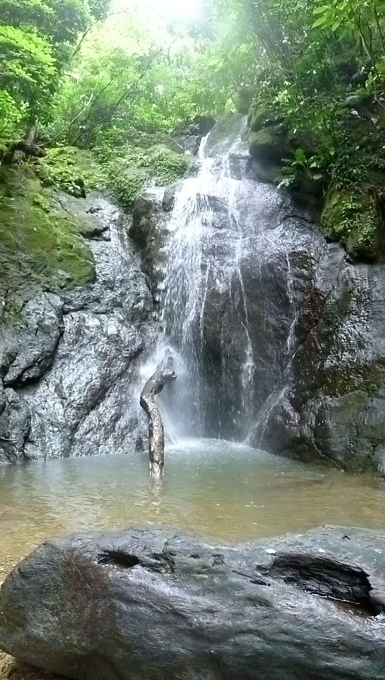 La cascada