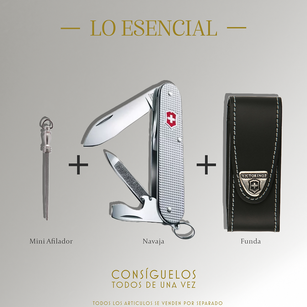 Miniatura: Victorinox Navaja EVOKE ALOX