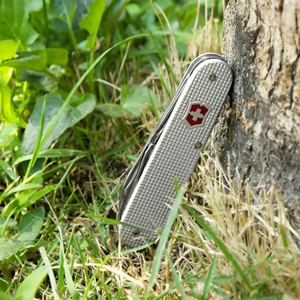 Miniatura: Victorinox Navaja Cadet Alox