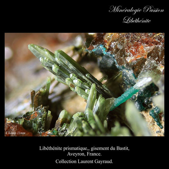 Libéthénite prismatique,, gisement du Bastit, Aveyron, France.jpg