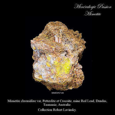 Mimetite chromifère var, Petterdite et Crocoïte, mine Red Lead, Dundas, Tasmanie, Australie.