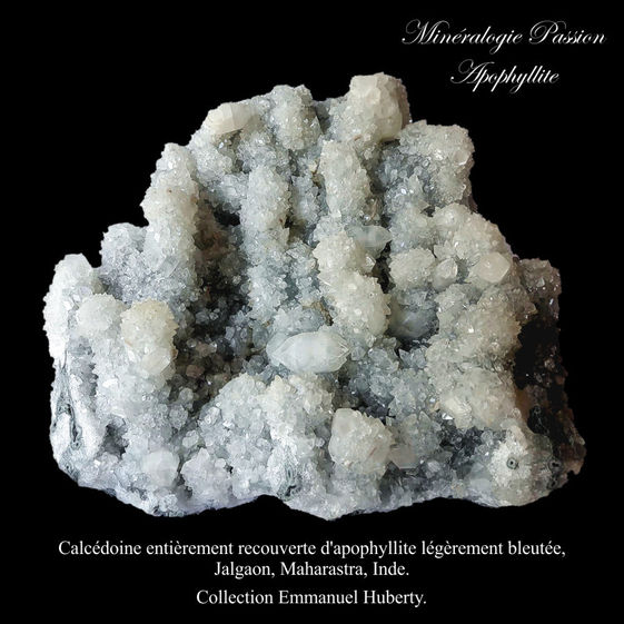 Calcédoine entièrement recouverte d'apophyllite légèrement bleutée, Jalgaon, Maharastra, Inde.