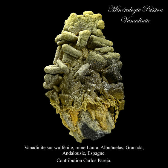 Vanadinite sur wulfénite, mine Laura, Albuñuelas, Granada, Andalousie, Espagne.