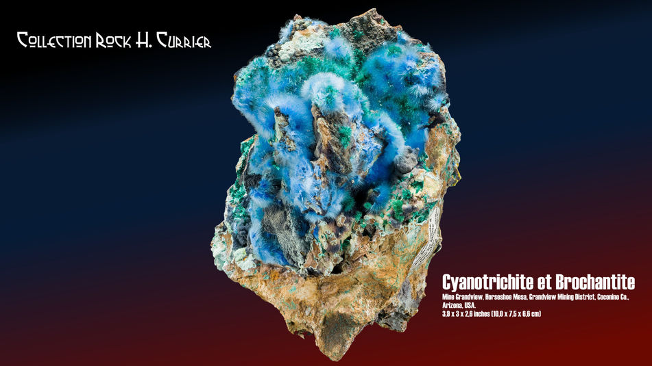 Cyanotrichite et Brochantite.jpg