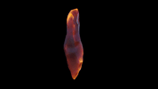 cristal4.gif