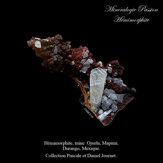 Hémimorphite, mine  Ojuela, Mapimi, Durango, Mexique.