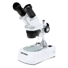 Loupe binoculaire