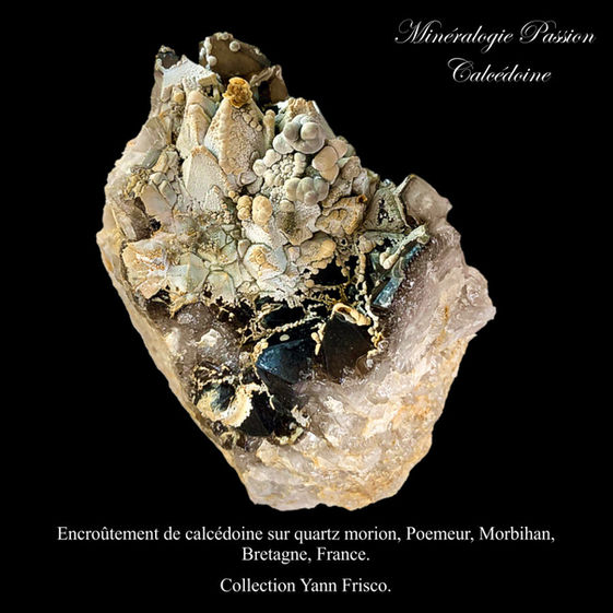 Encroûtement de calcédoine sur quartz morion, Poemeur, Morbihan,