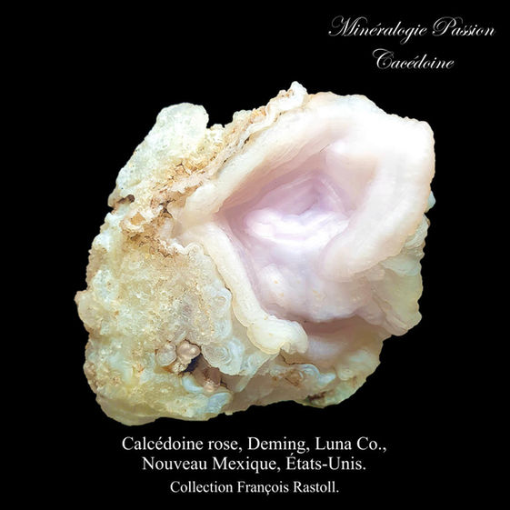 Calcédoine rose, Deming, Luna Co., Nouveau Mexique, États-Unis.