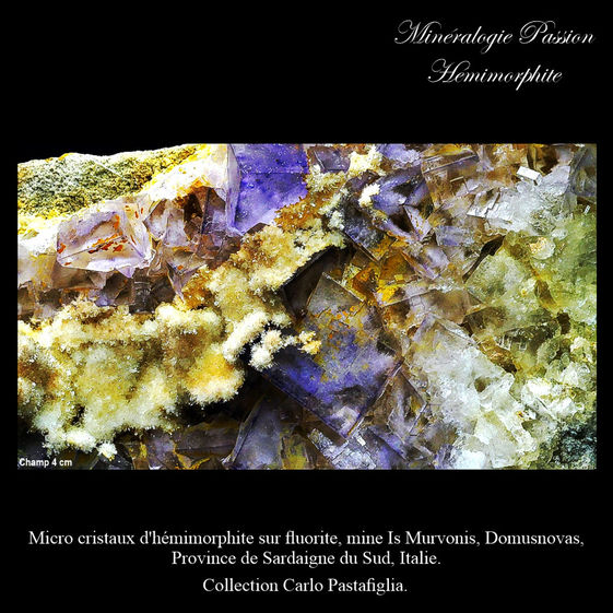 Micro cristaux d'hémimorphite sur fluorite, mine Is Murvonis, Domusnovas, Province de Sardaigne du Sud, Italie.