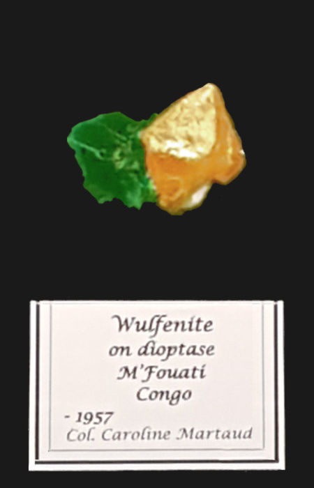 Wulfénite sur dioptase, M'Fouati, Congo coll. C Martaud