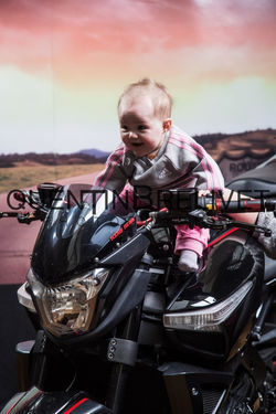 _5D34600-2017-04-15-quentin-brelivet-les-caracals-487