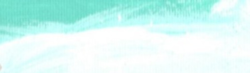 bbsh web banner ts_4_edited.jpg