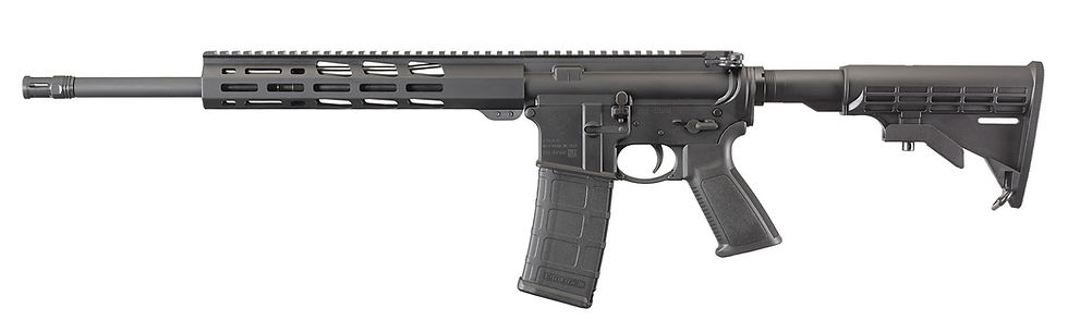 Thumbnail: Ruger AR556 - 8529