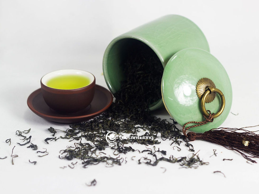 Trà (chè) Móc Câu Thái Nguyên có tác dụng gì và những công dụng tốt cho người trung niên và lớn tuổi