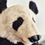 Thumbnail: Needle Felted Panda close up