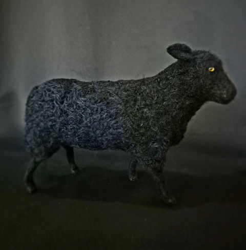 Black Sheep