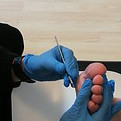 foot care for all your routine footcare needs