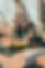 aaron-james-ocr_P_dPiHs-unsplash.jpg