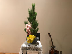 2019/120、