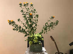 2019.5.26