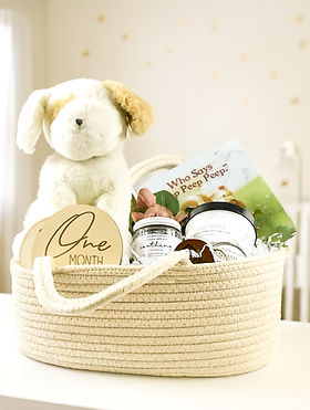 basket100_edited.jpg