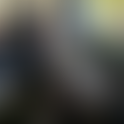 Activities at Stradbrook