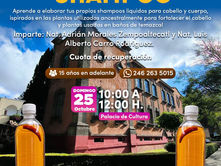 Aprende a elaborar shampoos artesanales