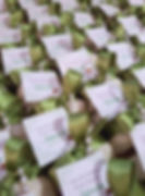 Bem abençoado - Lembrancinha para batizado e primeira comunhão