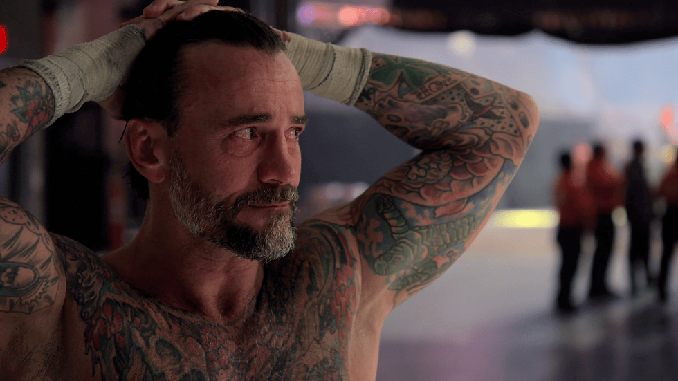CM Punk - WWE Unreal