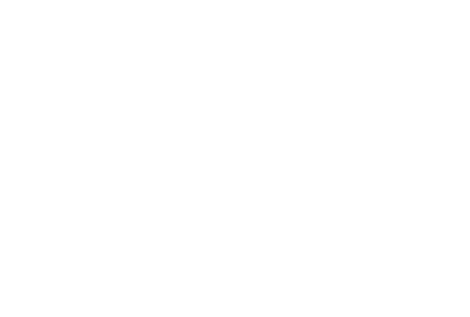 real estate (1).png