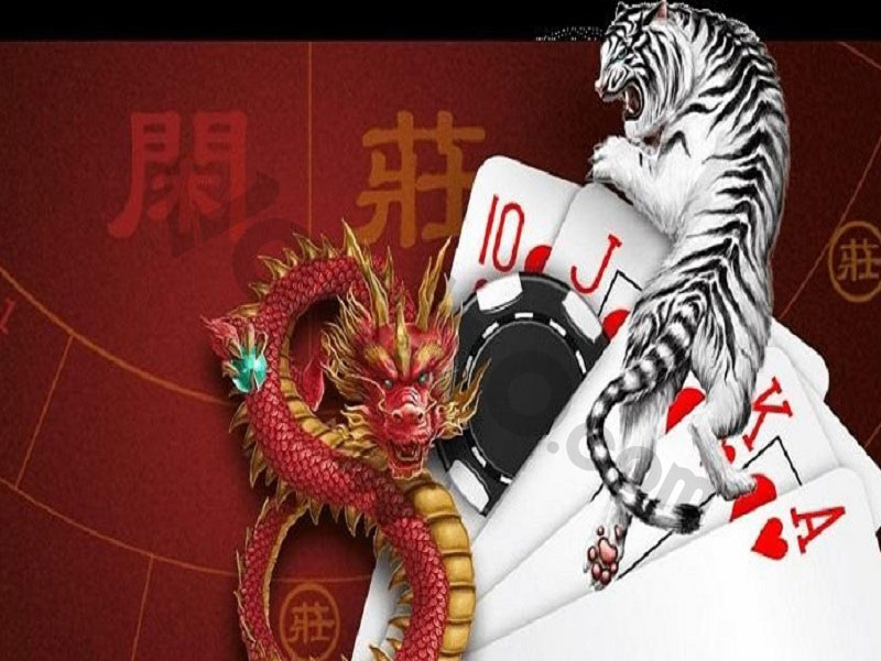 Kinh nghiệm chơi Rồng Hổ chuẩn nhất hiện nay
content media