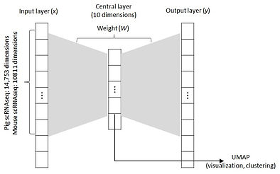 Autoencoder.jpg