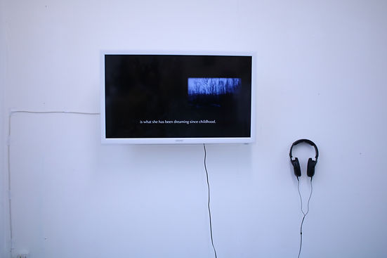 Exhibition