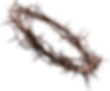 crown.png