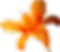 orange flower center.png