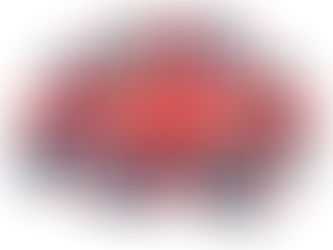 L2 Writing Assignment Guideline