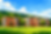 13-dc13382406da.png