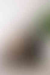 A91A9623.jpg