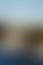1B2A0080.jpg