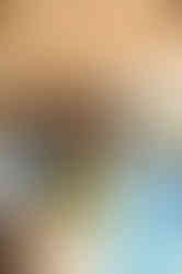 1B2A0287.jpg