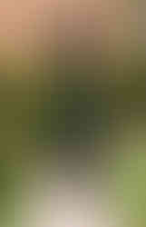 EZZ05669