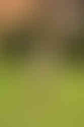 EZZ05902