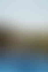 1B2A0139.jpg